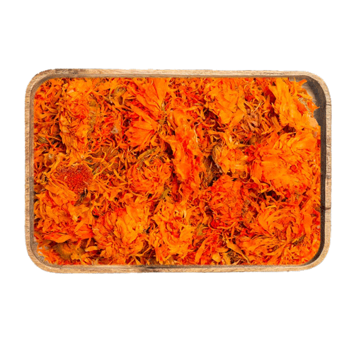 calendula