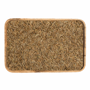 caraway