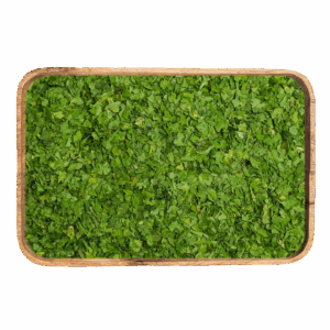celery