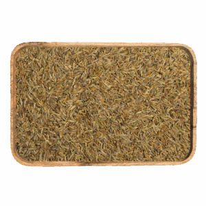 cumin