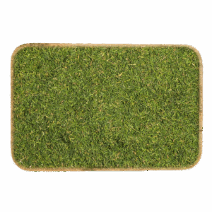 dill