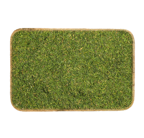dill