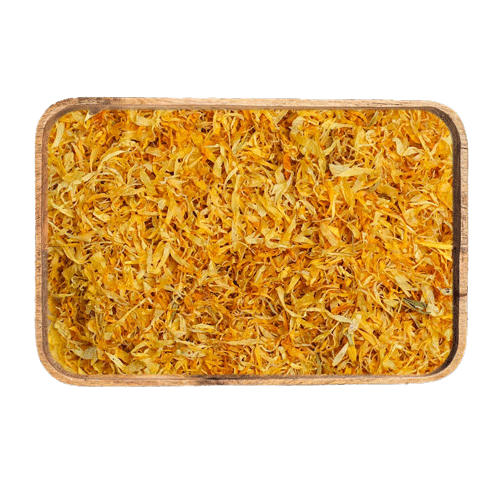 calendula batlle