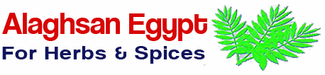 cropped logo aghsan.png