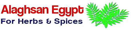 logo aghsan