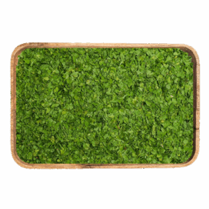 parsley
