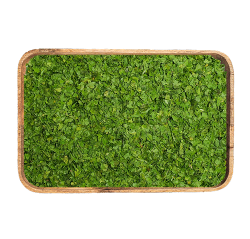 parsley md